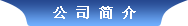 公司簡(jiǎn)介